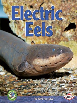 cover image of Electric Eels